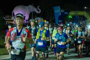 BIB: 
                            <button type="button" onclick="openModal(25585073)" class="btn btn-primary btn-sm float-right btn-popup" data-toggle="modal" data-target=".modal-high-quality">
                        <i class="fas fa-shopping-cart"></i> Add to Cart
                    </button>
                                            <button type="button" onclick="isThisMe(25585073, true)" class="btn btn-success btn-sm float-right btn-popup btn-isme hidden" data-toggle="tooltip" data-placement="bottom" title="นี่คือรูปของคุณใช่ไหม คลิกที่นี่เพื่อเอาเข้าอัลบั้ม">
                        <i class="fas fa-plus"></i> Add to album
                    </button>
                    <button type="button" onclick="isThisMe(25585073, false)" class="btn btn-warning btn-sm float-right btn-popup btn-isnotme hidden">
                        <i class="fas fa-ban"></i> Remove from album
                    </button>