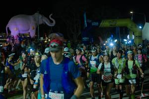 BIB: 
                            <button type="button" onclick="openModal(25583338)" class="btn btn-primary btn-sm float-right btn-popup" data-toggle="modal" data-target=".modal-high-quality">
                        <i class="fas fa-shopping-cart"></i> Add to Cart
                    </button>
                                            <button type="button" onclick="isThisMe(25583338, true)" class="btn btn-success btn-sm float-right btn-popup btn-isme hidden" data-toggle="tooltip" data-placement="bottom" title="นี่คือรูปของคุณใช่ไหม คลิกที่นี่เพื่อเอาเข้าอัลบั้ม">
                        <i class="fas fa-plus"></i> Add to album
                    </button>
                    <button type="button" onclick="isThisMe(25583338, false)" class="btn btn-warning btn-sm float-right btn-popup btn-isnotme hidden">
                        <i class="fas fa-ban"></i> Remove from album
                    </button>