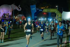 BIB: 
                            <button type="button" onclick="openModal(25587147)" class="btn btn-primary btn-sm float-right btn-popup" data-toggle="modal" data-target=".modal-high-quality">
                        <i class="fas fa-shopping-cart"></i> Add to Cart
                    </button>
                                            <button type="button" onclick="isThisMe(25587147, true)" class="btn btn-success btn-sm float-right btn-popup btn-isme hidden" data-toggle="tooltip" data-placement="bottom" title="นี่คือรูปของคุณใช่ไหม คลิกที่นี่เพื่อเอาเข้าอัลบั้ม">
                        <i class="fas fa-plus"></i> Add to album
                    </button>
                    <button type="button" onclick="isThisMe(25587147, false)" class="btn btn-warning btn-sm float-right btn-popup btn-isnotme hidden">
                        <i class="fas fa-ban"></i> Remove from album
                    </button>