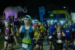 BIB: 
                            <button type="button" onclick="openModal(25586059)" class="btn btn-primary btn-sm float-right btn-popup" data-toggle="modal" data-target=".modal-high-quality">
                        <i class="fas fa-shopping-cart"></i> Add to Cart
                    </button>
                                            <button type="button" onclick="isThisMe(25586059, true)" class="btn btn-success btn-sm float-right btn-popup btn-isme hidden" data-toggle="tooltip" data-placement="bottom" title="นี่คือรูปของคุณใช่ไหม คลิกที่นี่เพื่อเอาเข้าอัลบั้ม">
                        <i class="fas fa-plus"></i> Add to album
                    </button>
                    <button type="button" onclick="isThisMe(25586059, false)" class="btn btn-warning btn-sm float-right btn-popup btn-isnotme hidden">
                        <i class="fas fa-ban"></i> Remove from album
                    </button>