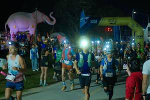 BIB: 
                            <button type="button" onclick="openModal(25583635)" class="btn btn-primary btn-sm float-right btn-popup" data-toggle="modal" data-target=".modal-high-quality">
                        <i class="fas fa-shopping-cart"></i> Add to Cart
                    </button>
                                            <button type="button" onclick="isThisMe(25583635, true)" class="btn btn-success btn-sm float-right btn-popup btn-isme hidden" data-toggle="tooltip" data-placement="bottom" title="นี่คือรูปของคุณใช่ไหม คลิกที่นี่เพื่อเอาเข้าอัลบั้ม">
                        <i class="fas fa-plus"></i> Add to album
                    </button>
                    <button type="button" onclick="isThisMe(25583635, false)" class="btn btn-warning btn-sm float-right btn-popup btn-isnotme hidden">
                        <i class="fas fa-ban"></i> Remove from album
                    </button>