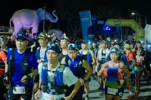 BIB: 
                            <button type="button" onclick="openModal(25585121)" class="btn btn-primary btn-sm float-right btn-popup" data-toggle="modal" data-target=".modal-high-quality">
                        <i class="fas fa-shopping-cart"></i> Add to Cart
                    </button>
                                            <button type="button" onclick="isThisMe(25585121, true)" class="btn btn-success btn-sm float-right btn-popup btn-isme hidden" data-toggle="tooltip" data-placement="bottom" title="นี่คือรูปของคุณใช่ไหม คลิกที่นี่เพื่อเอาเข้าอัลบั้ม">
                        <i class="fas fa-plus"></i> Add to album
                    </button>
                    <button type="button" onclick="isThisMe(25585121, false)" class="btn btn-warning btn-sm float-right btn-popup btn-isnotme hidden">
                        <i class="fas fa-ban"></i> Remove from album
                    </button>