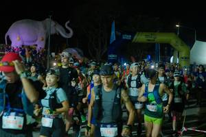 BIB: 
                            <button type="button" onclick="openModal(25583135)" class="btn btn-primary btn-sm float-right btn-popup" data-toggle="modal" data-target=".modal-high-quality">
                        <i class="fas fa-shopping-cart"></i> Add to Cart
                    </button>
                                            <button type="button" onclick="isThisMe(25583135, true)" class="btn btn-success btn-sm float-right btn-popup btn-isme hidden" data-toggle="tooltip" data-placement="bottom" title="นี่คือรูปของคุณใช่ไหม คลิกที่นี่เพื่อเอาเข้าอัลบั้ม">
                        <i class="fas fa-plus"></i> Add to album
                    </button>
                    <button type="button" onclick="isThisMe(25583135, false)" class="btn btn-warning btn-sm float-right btn-popup btn-isnotme hidden">
                        <i class="fas fa-ban"></i> Remove from album
                    </button>