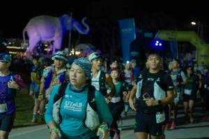 BIB: 
                            <button type="button" onclick="openModal(25585618)" class="btn btn-primary btn-sm float-right btn-popup" data-toggle="modal" data-target=".modal-high-quality">
                        <i class="fas fa-shopping-cart"></i> Add to Cart
                    </button>
                                            <button type="button" onclick="isThisMe(25585618, true)" class="btn btn-success btn-sm float-right btn-popup btn-isme hidden" data-toggle="tooltip" data-placement="bottom" title="นี่คือรูปของคุณใช่ไหม คลิกที่นี่เพื่อเอาเข้าอัลบั้ม">
                        <i class="fas fa-plus"></i> Add to album
                    </button>
                    <button type="button" onclick="isThisMe(25585618, false)" class="btn btn-warning btn-sm float-right btn-popup btn-isnotme hidden">
                        <i class="fas fa-ban"></i> Remove from album
                    </button>