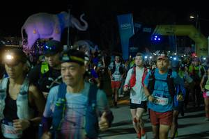 BIB: 
                            <button type="button" onclick="openModal(25584853)" class="btn btn-primary btn-sm float-right btn-popup" data-toggle="modal" data-target=".modal-high-quality">
                        <i class="fas fa-shopping-cart"></i> Add to Cart
                    </button>
                                            <button type="button" onclick="isThisMe(25584853, true)" class="btn btn-success btn-sm float-right btn-popup btn-isme hidden" data-toggle="tooltip" data-placement="bottom" title="นี่คือรูปของคุณใช่ไหม คลิกที่นี่เพื่อเอาเข้าอัลบั้ม">
                        <i class="fas fa-plus"></i> Add to album
                    </button>
                    <button type="button" onclick="isThisMe(25584853, false)" class="btn btn-warning btn-sm float-right btn-popup btn-isnotme hidden">
                        <i class="fas fa-ban"></i> Remove from album
                    </button>