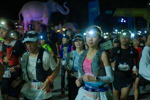 BIB: 
                            <button type="button" onclick="openModal(25583870)" class="btn btn-primary btn-sm float-right btn-popup" data-toggle="modal" data-target=".modal-high-quality">
                        <i class="fas fa-shopping-cart"></i> Add to Cart
                    </button>
                                            <button type="button" onclick="isThisMe(25583870, true)" class="btn btn-success btn-sm float-right btn-popup btn-isme hidden" data-toggle="tooltip" data-placement="bottom" title="นี่คือรูปของคุณใช่ไหม คลิกที่นี่เพื่อเอาเข้าอัลบั้ม">
                        <i class="fas fa-plus"></i> Add to album
                    </button>
                    <button type="button" onclick="isThisMe(25583870, false)" class="btn btn-warning btn-sm float-right btn-popup btn-isnotme hidden">
                        <i class="fas fa-ban"></i> Remove from album
                    </button>