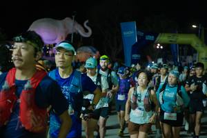 BIB: 
                            <button type="button" onclick="openModal(25585592)" class="btn btn-primary btn-sm float-right btn-popup" data-toggle="modal" data-target=".modal-high-quality">
                        <i class="fas fa-shopping-cart"></i> Add to Cart
                    </button>
                                            <button type="button" onclick="isThisMe(25585592, true)" class="btn btn-success btn-sm float-right btn-popup btn-isme hidden" data-toggle="tooltip" data-placement="bottom" title="นี่คือรูปของคุณใช่ไหม คลิกที่นี่เพื่อเอาเข้าอัลบั้ม">
                        <i class="fas fa-plus"></i> Add to album
                    </button>
                    <button type="button" onclick="isThisMe(25585592, false)" class="btn btn-warning btn-sm float-right btn-popup btn-isnotme hidden">
                        <i class="fas fa-ban"></i> Remove from album
                    </button>