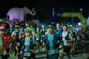 BIB: 
                            <button type="button" onclick="openModal(25583058)" class="btn btn-primary btn-sm float-right btn-popup" data-toggle="modal" data-target=".modal-high-quality">
                        <i class="fas fa-shopping-cart"></i> Add to Cart
                    </button>
                                            <button type="button" onclick="isThisMe(25583058, true)" class="btn btn-success btn-sm float-right btn-popup btn-isme hidden" data-toggle="tooltip" data-placement="bottom" title="นี่คือรูปของคุณใช่ไหม คลิกที่นี่เพื่อเอาเข้าอัลบั้ม">
                        <i class="fas fa-plus"></i> Add to album
                    </button>
                    <button type="button" onclick="isThisMe(25583058, false)" class="btn btn-warning btn-sm float-right btn-popup btn-isnotme hidden">
                        <i class="fas fa-ban"></i> Remove from album
                    </button>