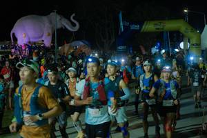 BIB: 
                            <button type="button" onclick="openModal(25583396)" class="btn btn-primary btn-sm float-right btn-popup" data-toggle="modal" data-target=".modal-high-quality">
                        <i class="fas fa-shopping-cart"></i> Add to Cart
                    </button>
                                            <button type="button" onclick="isThisMe(25583396, true)" class="btn btn-success btn-sm float-right btn-popup btn-isme hidden" data-toggle="tooltip" data-placement="bottom" title="นี่คือรูปของคุณใช่ไหม คลิกที่นี่เพื่อเอาเข้าอัลบั้ม">
                        <i class="fas fa-plus"></i> Add to album
                    </button>
                    <button type="button" onclick="isThisMe(25583396, false)" class="btn btn-warning btn-sm float-right btn-popup btn-isnotme hidden">
                        <i class="fas fa-ban"></i> Remove from album
                    </button>