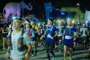 BIB: 
                            <button type="button" onclick="openModal(25587284)" class="btn btn-primary btn-sm float-right btn-popup" data-toggle="modal" data-target=".modal-high-quality">
                        <i class="fas fa-shopping-cart"></i> Add to Cart
                    </button>
                                            <button type="button" onclick="isThisMe(25587284, true)" class="btn btn-success btn-sm float-right btn-popup btn-isme hidden" data-toggle="tooltip" data-placement="bottom" title="นี่คือรูปของคุณใช่ไหม คลิกที่นี่เพื่อเอาเข้าอัลบั้ม">
                        <i class="fas fa-plus"></i> Add to album
                    </button>
                    <button type="button" onclick="isThisMe(25587284, false)" class="btn btn-warning btn-sm float-right btn-popup btn-isnotme hidden">
                        <i class="fas fa-ban"></i> Remove from album
                    </button>