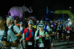 BIB: 
                            <button type="button" onclick="openModal(25583153)" class="btn btn-primary btn-sm float-right btn-popup" data-toggle="modal" data-target=".modal-high-quality">
                        <i class="fas fa-shopping-cart"></i> Add to Cart
                    </button>
                                            <button type="button" onclick="isThisMe(25583153, true)" class="btn btn-success btn-sm float-right btn-popup btn-isme hidden" data-toggle="tooltip" data-placement="bottom" title="นี่คือรูปของคุณใช่ไหม คลิกที่นี่เพื่อเอาเข้าอัลบั้ม">
                        <i class="fas fa-plus"></i> Add to album
                    </button>
                    <button type="button" onclick="isThisMe(25583153, false)" class="btn btn-warning btn-sm float-right btn-popup btn-isnotme hidden">
                        <i class="fas fa-ban"></i> Remove from album
                    </button>