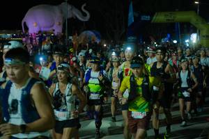 BIB: 
                            <button type="button" onclick="openModal(25583240)" class="btn btn-primary btn-sm float-right btn-popup" data-toggle="modal" data-target=".modal-high-quality">
                        <i class="fas fa-shopping-cart"></i> Add to Cart
                    </button>
                                            <button type="button" onclick="isThisMe(25583240, true)" class="btn btn-success btn-sm float-right btn-popup btn-isme hidden" data-toggle="tooltip" data-placement="bottom" title="นี่คือรูปของคุณใช่ไหม คลิกที่นี่เพื่อเอาเข้าอัลบั้ม">
                        <i class="fas fa-plus"></i> Add to album
                    </button>
                    <button type="button" onclick="isThisMe(25583240, false)" class="btn btn-warning btn-sm float-right btn-popup btn-isnotme hidden">
                        <i class="fas fa-ban"></i> Remove from album
                    </button>