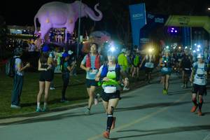 BIB: 
                            <button type="button" onclick="openModal(25587215)" class="btn btn-primary btn-sm float-right btn-popup" data-toggle="modal" data-target=".modal-high-quality">
                        <i class="fas fa-shopping-cart"></i> Add to Cart
                    </button>
                                            <button type="button" onclick="isThisMe(25587215, true)" class="btn btn-success btn-sm float-right btn-popup btn-isme hidden" data-toggle="tooltip" data-placement="bottom" title="นี่คือรูปของคุณใช่ไหม คลิกที่นี่เพื่อเอาเข้าอัลบั้ม">
                        <i class="fas fa-plus"></i> Add to album
                    </button>
                    <button type="button" onclick="isThisMe(25587215, false)" class="btn btn-warning btn-sm float-right btn-popup btn-isnotme hidden">
                        <i class="fas fa-ban"></i> Remove from album
                    </button>