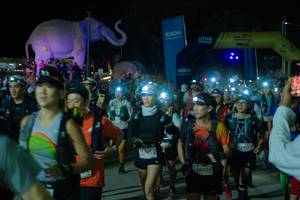 BIB: 
                            <button type="button" onclick="openModal(25583931)" class="btn btn-primary btn-sm float-right btn-popup" data-toggle="modal" data-target=".modal-high-quality">
                        <i class="fas fa-shopping-cart"></i> Add to Cart
                    </button>
                                            <button type="button" onclick="isThisMe(25583931, true)" class="btn btn-success btn-sm float-right btn-popup btn-isme hidden" data-toggle="tooltip" data-placement="bottom" title="นี่คือรูปของคุณใช่ไหม คลิกที่นี่เพื่อเอาเข้าอัลบั้ม">
                        <i class="fas fa-plus"></i> Add to album
                    </button>
                    <button type="button" onclick="isThisMe(25583931, false)" class="btn btn-warning btn-sm float-right btn-popup btn-isnotme hidden">
                        <i class="fas fa-ban"></i> Remove from album
                    </button>