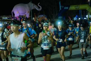 BIB: 
                            <button type="button" onclick="openModal(25583421)" class="btn btn-primary btn-sm float-right btn-popup" data-toggle="modal" data-target=".modal-high-quality">
                        <i class="fas fa-shopping-cart"></i> Add to Cart
                    </button>
                                            <button type="button" onclick="isThisMe(25583421, true)" class="btn btn-success btn-sm float-right btn-popup btn-isme hidden" data-toggle="tooltip" data-placement="bottom" title="นี่คือรูปของคุณใช่ไหม คลิกที่นี่เพื่อเอาเข้าอัลบั้ม">
                        <i class="fas fa-plus"></i> Add to album
                    </button>
                    <button type="button" onclick="isThisMe(25583421, false)" class="btn btn-warning btn-sm float-right btn-popup btn-isnotme hidden">
                        <i class="fas fa-ban"></i> Remove from album
                    </button>