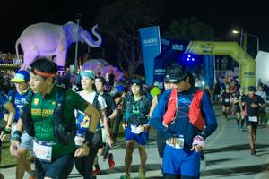 BIB: 
                            <button type="button" onclick="openModal(25585653)" class="btn btn-primary btn-sm float-right btn-popup" data-toggle="modal" data-target=".modal-high-quality">
                        <i class="fas fa-shopping-cart"></i> Add to Cart
                    </button>
                                            <button type="button" onclick="isThisMe(25585653, true)" class="btn btn-success btn-sm float-right btn-popup btn-isme hidden" data-toggle="tooltip" data-placement="bottom" title="นี่คือรูปของคุณใช่ไหม คลิกที่นี่เพื่อเอาเข้าอัลบั้ม">
                        <i class="fas fa-plus"></i> Add to album
                    </button>
                    <button type="button" onclick="isThisMe(25585653, false)" class="btn btn-warning btn-sm float-right btn-popup btn-isnotme hidden">
                        <i class="fas fa-ban"></i> Remove from album
                    </button>