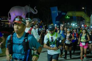 BIB: 
                            <button type="button" onclick="openModal(25584860)" class="btn btn-primary btn-sm float-right btn-popup" data-toggle="modal" data-target=".modal-high-quality">
                        <i class="fas fa-shopping-cart"></i> Add to Cart
                    </button>
                                            <button type="button" onclick="isThisMe(25584860, true)" class="btn btn-success btn-sm float-right btn-popup btn-isme hidden" data-toggle="tooltip" data-placement="bottom" title="นี่คือรูปของคุณใช่ไหม คลิกที่นี่เพื่อเอาเข้าอัลบั้ม">
                        <i class="fas fa-plus"></i> Add to album
                    </button>
                    <button type="button" onclick="isThisMe(25584860, false)" class="btn btn-warning btn-sm float-right btn-popup btn-isnotme hidden">
                        <i class="fas fa-ban"></i> Remove from album
                    </button>