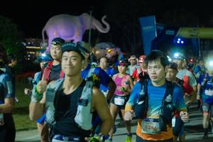 BIB: 
                            <button type="button" onclick="openModal(25585004)" class="btn btn-primary btn-sm float-right btn-popup" data-toggle="modal" data-target=".modal-high-quality">
                        <i class="fas fa-shopping-cart"></i> Add to Cart
                    </button>
                                            <button type="button" onclick="isThisMe(25585004, true)" class="btn btn-success btn-sm float-right btn-popup btn-isme hidden" data-toggle="tooltip" data-placement="bottom" title="นี่คือรูปของคุณใช่ไหม คลิกที่นี่เพื่อเอาเข้าอัลบั้ม">
                        <i class="fas fa-plus"></i> Add to album
                    </button>
                    <button type="button" onclick="isThisMe(25585004, false)" class="btn btn-warning btn-sm float-right btn-popup btn-isnotme hidden">
                        <i class="fas fa-ban"></i> Remove from album
                    </button>