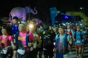 BIB: 
                            <button type="button" onclick="openModal(25584847)" class="btn btn-primary btn-sm float-right btn-popup" data-toggle="modal" data-target=".modal-high-quality">
                        <i class="fas fa-shopping-cart"></i> Add to Cart
                    </button>
                                            <button type="button" onclick="isThisMe(25584847, true)" class="btn btn-success btn-sm float-right btn-popup btn-isme hidden" data-toggle="tooltip" data-placement="bottom" title="นี่คือรูปของคุณใช่ไหม คลิกที่นี่เพื่อเอาเข้าอัลบั้ม">
                        <i class="fas fa-plus"></i> Add to album
                    </button>
                    <button type="button" onclick="isThisMe(25584847, false)" class="btn btn-warning btn-sm float-right btn-popup btn-isnotme hidden">
                        <i class="fas fa-ban"></i> Remove from album
                    </button>