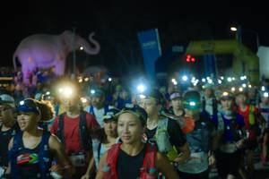 BIB: 
                            <button type="button" onclick="openModal(25584070)" class="btn btn-primary btn-sm float-right btn-popup" data-toggle="modal" data-target=".modal-high-quality">
                        <i class="fas fa-shopping-cart"></i> Add to Cart
                    </button>
                                            <button type="button" onclick="isThisMe(25584070, true)" class="btn btn-success btn-sm float-right btn-popup btn-isme hidden" data-toggle="tooltip" data-placement="bottom" title="นี่คือรูปของคุณใช่ไหม คลิกที่นี่เพื่อเอาเข้าอัลบั้ม">
                        <i class="fas fa-plus"></i> Add to album
                    </button>
                    <button type="button" onclick="isThisMe(25584070, false)" class="btn btn-warning btn-sm float-right btn-popup btn-isnotme hidden">
                        <i class="fas fa-ban"></i> Remove from album
                    </button>