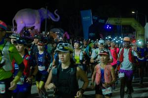 BIB: 
                            <button type="button" onclick="openModal(25584884)" class="btn btn-primary btn-sm float-right btn-popup" data-toggle="modal" data-target=".modal-high-quality">
                        <i class="fas fa-shopping-cart"></i> Add to Cart
                    </button>
                                            <button type="button" onclick="isThisMe(25584884, true)" class="btn btn-success btn-sm float-right btn-popup btn-isme hidden" data-toggle="tooltip" data-placement="bottom" title="นี่คือรูปของคุณใช่ไหม คลิกที่นี่เพื่อเอาเข้าอัลบั้ม">
                        <i class="fas fa-plus"></i> Add to album
                    </button>
                    <button type="button" onclick="isThisMe(25584884, false)" class="btn btn-warning btn-sm float-right btn-popup btn-isnotme hidden">
                        <i class="fas fa-ban"></i> Remove from album
                    </button>