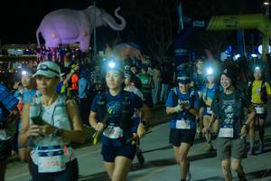 BIB: 
                            <button type="button" onclick="openModal(25583422)" class="btn btn-primary btn-sm float-right btn-popup" data-toggle="modal" data-target=".modal-high-quality">
                        <i class="fas fa-shopping-cart"></i> Add to Cart
                    </button>
                                            <button type="button" onclick="isThisMe(25583422, true)" class="btn btn-success btn-sm float-right btn-popup btn-isme hidden" data-toggle="tooltip" data-placement="bottom" title="นี่คือรูปของคุณใช่ไหม คลิกที่นี่เพื่อเอาเข้าอัลบั้ม">
                        <i class="fas fa-plus"></i> Add to album
                    </button>
                    <button type="button" onclick="isThisMe(25583422, false)" class="btn btn-warning btn-sm float-right btn-popup btn-isnotme hidden">
                        <i class="fas fa-ban"></i> Remove from album
                    </button>