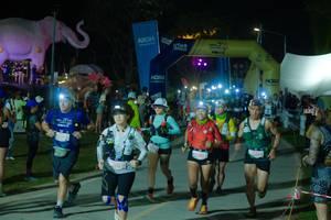 BIB: 
                            <button type="button" onclick="openModal(25587185)" class="btn btn-primary btn-sm float-right btn-popup" data-toggle="modal" data-target=".modal-high-quality">
                        <i class="fas fa-shopping-cart"></i> Add to Cart
                    </button>
                                            <button type="button" onclick="isThisMe(25587185, true)" class="btn btn-success btn-sm float-right btn-popup btn-isme hidden" data-toggle="tooltip" data-placement="bottom" title="นี่คือรูปของคุณใช่ไหม คลิกที่นี่เพื่อเอาเข้าอัลบั้ม">
                        <i class="fas fa-plus"></i> Add to album
                    </button>
                    <button type="button" onclick="isThisMe(25587185, false)" class="btn btn-warning btn-sm float-right btn-popup btn-isnotme hidden">
                        <i class="fas fa-ban"></i> Remove from album
                    </button>