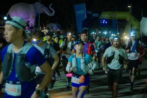 BIB: 
                            <button type="button" onclick="openModal(25587296)" class="btn btn-primary btn-sm float-right btn-popup" data-toggle="modal" data-target=".modal-high-quality">
                        <i class="fas fa-shopping-cart"></i> Add to Cart
                    </button>
                                            <button type="button" onclick="isThisMe(25587296, true)" class="btn btn-success btn-sm float-right btn-popup btn-isme hidden" data-toggle="tooltip" data-placement="bottom" title="นี่คือรูปของคุณใช่ไหม คลิกที่นี่เพื่อเอาเข้าอัลบั้ม">
                        <i class="fas fa-plus"></i> Add to album
                    </button>
                    <button type="button" onclick="isThisMe(25587296, false)" class="btn btn-warning btn-sm float-right btn-popup btn-isnotme hidden">
                        <i class="fas fa-ban"></i> Remove from album
                    </button>