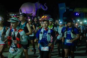 BIB: 
                            <button type="button" onclick="openModal(25587874)" class="btn btn-primary btn-sm float-right btn-popup" data-toggle="modal" data-target=".modal-high-quality">
                        <i class="fas fa-shopping-cart"></i> Add to Cart
                    </button>
                                            <button type="button" onclick="isThisMe(25587874, true)" class="btn btn-success btn-sm float-right btn-popup btn-isme hidden" data-toggle="tooltip" data-placement="bottom" title="นี่คือรูปของคุณใช่ไหม คลิกที่นี่เพื่อเอาเข้าอัลบั้ม">
                        <i class="fas fa-plus"></i> Add to album
                    </button>
                    <button type="button" onclick="isThisMe(25587874, false)" class="btn btn-warning btn-sm float-right btn-popup btn-isnotme hidden">
                        <i class="fas fa-ban"></i> Remove from album
                    </button>