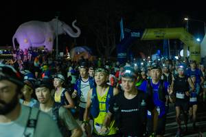 BIB: 
                            <button type="button" onclick="openModal(25583318)" class="btn btn-primary btn-sm float-right btn-popup" data-toggle="modal" data-target=".modal-high-quality">
                        <i class="fas fa-shopping-cart"></i> Add to Cart
                    </button>
                                            <button type="button" onclick="isThisMe(25583318, true)" class="btn btn-success btn-sm float-right btn-popup btn-isme hidden" data-toggle="tooltip" data-placement="bottom" title="นี่คือรูปของคุณใช่ไหม คลิกที่นี่เพื่อเอาเข้าอัลบั้ม">
                        <i class="fas fa-plus"></i> Add to album
                    </button>
                    <button type="button" onclick="isThisMe(25583318, false)" class="btn btn-warning btn-sm float-right btn-popup btn-isnotme hidden">
                        <i class="fas fa-ban"></i> Remove from album
                    </button>