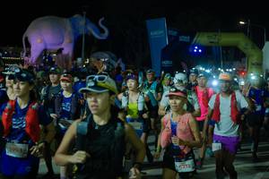 BIB: 
                            <button type="button" onclick="openModal(25584893)" class="btn btn-primary btn-sm float-right btn-popup" data-toggle="modal" data-target=".modal-high-quality">
                        <i class="fas fa-shopping-cart"></i> Add to Cart
                    </button>
                                            <button type="button" onclick="isThisMe(25584893, true)" class="btn btn-success btn-sm float-right btn-popup btn-isme hidden" data-toggle="tooltip" data-placement="bottom" title="นี่คือรูปของคุณใช่ไหม คลิกที่นี่เพื่อเอาเข้าอัลบั้ม">
                        <i class="fas fa-plus"></i> Add to album
                    </button>
                    <button type="button" onclick="isThisMe(25584893, false)" class="btn btn-warning btn-sm float-right btn-popup btn-isnotme hidden">
                        <i class="fas fa-ban"></i> Remove from album
                    </button>