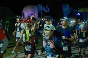 BIB: 
                            <button type="button" onclick="openModal(25584731)" class="btn btn-primary btn-sm float-right btn-popup" data-toggle="modal" data-target=".modal-high-quality">
                        <i class="fas fa-shopping-cart"></i> Add to Cart
                    </button>
                                            <button type="button" onclick="isThisMe(25584731, true)" class="btn btn-success btn-sm float-right btn-popup btn-isme hidden" data-toggle="tooltip" data-placement="bottom" title="นี่คือรูปของคุณใช่ไหม คลิกที่นี่เพื่อเอาเข้าอัลบั้ม">
                        <i class="fas fa-plus"></i> Add to album
                    </button>
                    <button type="button" onclick="isThisMe(25584731, false)" class="btn btn-warning btn-sm float-right btn-popup btn-isnotme hidden">
                        <i class="fas fa-ban"></i> Remove from album
                    </button>