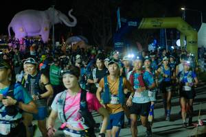 BIB: 
                            <button type="button" onclick="openModal(25583379)" class="btn btn-primary btn-sm float-right btn-popup" data-toggle="modal" data-target=".modal-high-quality">
                        <i class="fas fa-shopping-cart"></i> Add to Cart
                    </button>
                                            <button type="button" onclick="isThisMe(25583379, true)" class="btn btn-success btn-sm float-right btn-popup btn-isme hidden" data-toggle="tooltip" data-placement="bottom" title="นี่คือรูปของคุณใช่ไหม คลิกที่นี่เพื่อเอาเข้าอัลบั้ม">
                        <i class="fas fa-plus"></i> Add to album
                    </button>
                    <button type="button" onclick="isThisMe(25583379, false)" class="btn btn-warning btn-sm float-right btn-popup btn-isnotme hidden">
                        <i class="fas fa-ban"></i> Remove from album
                    </button>