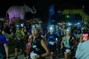 BIB: 
                            <button type="button" onclick="openModal(25583711)" class="btn btn-primary btn-sm float-right btn-popup" data-toggle="modal" data-target=".modal-high-quality">
                        <i class="fas fa-shopping-cart"></i> Add to Cart
                    </button>
                                            <button type="button" onclick="isThisMe(25583711, true)" class="btn btn-success btn-sm float-right btn-popup btn-isme hidden" data-toggle="tooltip" data-placement="bottom" title="นี่คือรูปของคุณใช่ไหม คลิกที่นี่เพื่อเอาเข้าอัลบั้ม">
                        <i class="fas fa-plus"></i> Add to album
                    </button>
                    <button type="button" onclick="isThisMe(25583711, false)" class="btn btn-warning btn-sm float-right btn-popup btn-isnotme hidden">
                        <i class="fas fa-ban"></i> Remove from album
                    </button>