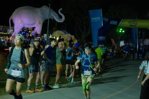 BIB: 
                            <button type="button" onclick="openModal(25585709)" class="btn btn-primary btn-sm float-right btn-popup" data-toggle="modal" data-target=".modal-high-quality">
                        <i class="fas fa-shopping-cart"></i> Add to Cart
                    </button>
                                            <button type="button" onclick="isThisMe(25585709, true)" class="btn btn-success btn-sm float-right btn-popup btn-isme hidden" data-toggle="tooltip" data-placement="bottom" title="นี่คือรูปของคุณใช่ไหม คลิกที่นี่เพื่อเอาเข้าอัลบั้ม">
                        <i class="fas fa-plus"></i> Add to album
                    </button>
                    <button type="button" onclick="isThisMe(25585709, false)" class="btn btn-warning btn-sm float-right btn-popup btn-isnotme hidden">
                        <i class="fas fa-ban"></i> Remove from album
                    </button>