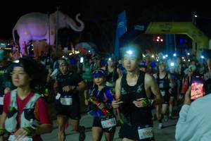 BIB: 
                            <button type="button" onclick="openModal(25583709)" class="btn btn-primary btn-sm float-right btn-popup" data-toggle="modal" data-target=".modal-high-quality">
                        <i class="fas fa-shopping-cart"></i> Add to Cart
                    </button>
                                            <button type="button" onclick="isThisMe(25583709, true)" class="btn btn-success btn-sm float-right btn-popup btn-isme hidden" data-toggle="tooltip" data-placement="bottom" title="นี่คือรูปของคุณใช่ไหม คลิกที่นี่เพื่อเอาเข้าอัลบั้ม">
                        <i class="fas fa-plus"></i> Add to album
                    </button>
                    <button type="button" onclick="isThisMe(25583709, false)" class="btn btn-warning btn-sm float-right btn-popup btn-isnotme hidden">
                        <i class="fas fa-ban"></i> Remove from album
                    </button>