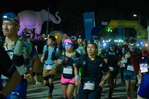 BIB: 
                            <button type="button" onclick="openModal(25586561)" class="btn btn-primary btn-sm float-right btn-popup" data-toggle="modal" data-target=".modal-high-quality">
                        <i class="fas fa-shopping-cart"></i> Add to Cart
                    </button>
                                            <button type="button" onclick="isThisMe(25586561, true)" class="btn btn-success btn-sm float-right btn-popup btn-isme hidden" data-toggle="tooltip" data-placement="bottom" title="นี่คือรูปของคุณใช่ไหม คลิกที่นี่เพื่อเอาเข้าอัลบั้ม">
                        <i class="fas fa-plus"></i> Add to album
                    </button>
                    <button type="button" onclick="isThisMe(25586561, false)" class="btn btn-warning btn-sm float-right btn-popup btn-isnotme hidden">
                        <i class="fas fa-ban"></i> Remove from album
                    </button>