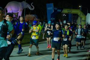 BIB: 
                            <button type="button" onclick="openModal(25588160)" class="btn btn-primary btn-sm float-right btn-popup" data-toggle="modal" data-target=".modal-high-quality">
                        <i class="fas fa-shopping-cart"></i> Add to Cart
                    </button>
                                            <button type="button" onclick="isThisMe(25588160, true)" class="btn btn-success btn-sm float-right btn-popup btn-isme hidden" data-toggle="tooltip" data-placement="bottom" title="นี่คือรูปของคุณใช่ไหม คลิกที่นี่เพื่อเอาเข้าอัลบั้ม">
                        <i class="fas fa-plus"></i> Add to album
                    </button>
                    <button type="button" onclick="isThisMe(25588160, false)" class="btn btn-warning btn-sm float-right btn-popup btn-isnotme hidden">
                        <i class="fas fa-ban"></i> Remove from album
                    </button>