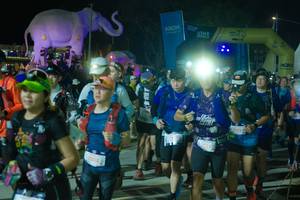 BIB: 
                            <button type="button" onclick="openModal(25587926)" class="btn btn-primary btn-sm float-right btn-popup" data-toggle="modal" data-target=".modal-high-quality">
                        <i class="fas fa-shopping-cart"></i> Add to Cart
                    </button>
                                            <button type="button" onclick="isThisMe(25587926, true)" class="btn btn-success btn-sm float-right btn-popup btn-isme hidden" data-toggle="tooltip" data-placement="bottom" title="นี่คือรูปของคุณใช่ไหม คลิกที่นี่เพื่อเอาเข้าอัลบั้ม">
                        <i class="fas fa-plus"></i> Add to album
                    </button>
                    <button type="button" onclick="isThisMe(25587926, false)" class="btn btn-warning btn-sm float-right btn-popup btn-isnotme hidden">
                        <i class="fas fa-ban"></i> Remove from album
                    </button>