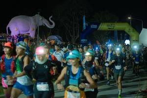 BIB: 
                            <button type="button" onclick="openModal(25583013)" class="btn btn-primary btn-sm float-right btn-popup" data-toggle="modal" data-target=".modal-high-quality">
                        <i class="fas fa-shopping-cart"></i> Add to Cart
                    </button>
                                            <button type="button" onclick="isThisMe(25583013, true)" class="btn btn-success btn-sm float-right btn-popup btn-isme hidden" data-toggle="tooltip" data-placement="bottom" title="นี่คือรูปของคุณใช่ไหม คลิกที่นี่เพื่อเอาเข้าอัลบั้ม">
                        <i class="fas fa-plus"></i> Add to album
                    </button>
                    <button type="button" onclick="isThisMe(25583013, false)" class="btn btn-warning btn-sm float-right btn-popup btn-isnotme hidden">
                        <i class="fas fa-ban"></i> Remove from album
                    </button>