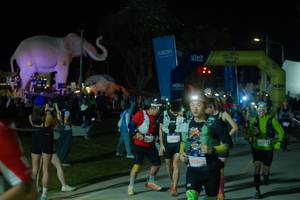 BIB: 
                            <button type="button" onclick="openModal(25585907)" class="btn btn-primary btn-sm float-right btn-popup" data-toggle="modal" data-target=".modal-high-quality">
                        <i class="fas fa-shopping-cart"></i> Add to Cart
                    </button>
                                            <button type="button" onclick="isThisMe(25585907, true)" class="btn btn-success btn-sm float-right btn-popup btn-isme hidden" data-toggle="tooltip" data-placement="bottom" title="นี่คือรูปของคุณใช่ไหม คลิกที่นี่เพื่อเอาเข้าอัลบั้ม">
                        <i class="fas fa-plus"></i> Add to album
                    </button>
                    <button type="button" onclick="isThisMe(25585907, false)" class="btn btn-warning btn-sm float-right btn-popup btn-isnotme hidden">
                        <i class="fas fa-ban"></i> Remove from album
                    </button>