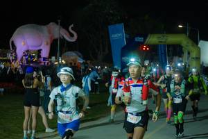 BIB: 
                            <button type="button" onclick="openModal(25585896)" class="btn btn-primary btn-sm float-right btn-popup" data-toggle="modal" data-target=".modal-high-quality">
                        <i class="fas fa-shopping-cart"></i> Add to Cart
                    </button>
                                            <button type="button" onclick="isThisMe(25585896, true)" class="btn btn-success btn-sm float-right btn-popup btn-isme hidden" data-toggle="tooltip" data-placement="bottom" title="นี่คือรูปของคุณใช่ไหม คลิกที่นี่เพื่อเอาเข้าอัลบั้ม">
                        <i class="fas fa-plus"></i> Add to album
                    </button>
                    <button type="button" onclick="isThisMe(25585896, false)" class="btn btn-warning btn-sm float-right btn-popup btn-isnotme hidden">
                        <i class="fas fa-ban"></i> Remove from album
                    </button>