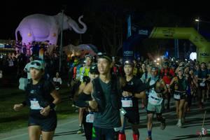 BIB: 
                            <button type="button" onclick="openModal(25583088)" class="btn btn-primary btn-sm float-right btn-popup" data-toggle="modal" data-target=".modal-high-quality">
                        <i class="fas fa-shopping-cart"></i> Add to Cart
                    </button>
                                            <button type="button" onclick="isThisMe(25583088, true)" class="btn btn-success btn-sm float-right btn-popup btn-isme hidden" data-toggle="tooltip" data-placement="bottom" title="นี่คือรูปของคุณใช่ไหม คลิกที่นี่เพื่อเอาเข้าอัลบั้ม">
                        <i class="fas fa-plus"></i> Add to album
                    </button>
                    <button type="button" onclick="isThisMe(25583088, false)" class="btn btn-warning btn-sm float-right btn-popup btn-isnotme hidden">
                        <i class="fas fa-ban"></i> Remove from album
                    </button>