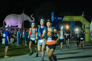 BIB: 
                            <button type="button" onclick="openModal(25583563)" class="btn btn-primary btn-sm float-right btn-popup" data-toggle="modal" data-target=".modal-high-quality">
                        <i class="fas fa-shopping-cart"></i> Add to Cart
                    </button>
                                            <button type="button" onclick="isThisMe(25583563, true)" class="btn btn-success btn-sm float-right btn-popup btn-isme hidden" data-toggle="tooltip" data-placement="bottom" title="นี่คือรูปของคุณใช่ไหม คลิกที่นี่เพื่อเอาเข้าอัลบั้ม">
                        <i class="fas fa-plus"></i> Add to album
                    </button>
                    <button type="button" onclick="isThisMe(25583563, false)" class="btn btn-warning btn-sm float-right btn-popup btn-isnotme hidden">
                        <i class="fas fa-ban"></i> Remove from album
                    </button>