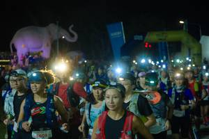 BIB: 
                            <button type="button" onclick="openModal(25584058)" class="btn btn-primary btn-sm float-right btn-popup" data-toggle="modal" data-target=".modal-high-quality">
                        <i class="fas fa-shopping-cart"></i> Add to Cart
                    </button>
                                            <button type="button" onclick="isThisMe(25584058, true)" class="btn btn-success btn-sm float-right btn-popup btn-isme hidden" data-toggle="tooltip" data-placement="bottom" title="นี่คือรูปของคุณใช่ไหม คลิกที่นี่เพื่อเอาเข้าอัลบั้ม">
                        <i class="fas fa-plus"></i> Add to album
                    </button>
                    <button type="button" onclick="isThisMe(25584058, false)" class="btn btn-warning btn-sm float-right btn-popup btn-isnotme hidden">
                        <i class="fas fa-ban"></i> Remove from album
                    </button>