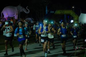 BIB: 
                            <button type="button" onclick="openModal(25583019)" class="btn btn-primary btn-sm float-right btn-popup" data-toggle="modal" data-target=".modal-high-quality">
                        <i class="fas fa-shopping-cart"></i> Add to Cart
                    </button>
                                            <button type="button" onclick="isThisMe(25583019, true)" class="btn btn-success btn-sm float-right btn-popup btn-isme hidden" data-toggle="tooltip" data-placement="bottom" title="นี่คือรูปของคุณใช่ไหม คลิกที่นี่เพื่อเอาเข้าอัลบั้ม">
                        <i class="fas fa-plus"></i> Add to album
                    </button>
                    <button type="button" onclick="isThisMe(25583019, false)" class="btn btn-warning btn-sm float-right btn-popup btn-isnotme hidden">
                        <i class="fas fa-ban"></i> Remove from album
                    </button>