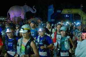 BIB: 
                            <button type="button" onclick="openModal(25583749)" class="btn btn-primary btn-sm float-right btn-popup" data-toggle="modal" data-target=".modal-high-quality">
                        <i class="fas fa-shopping-cart"></i> Add to Cart
                    </button>
                                            <button type="button" onclick="isThisMe(25583749, true)" class="btn btn-success btn-sm float-right btn-popup btn-isme hidden" data-toggle="tooltip" data-placement="bottom" title="นี่คือรูปของคุณใช่ไหม คลิกที่นี่เพื่อเอาเข้าอัลบั้ม">
                        <i class="fas fa-plus"></i> Add to album
                    </button>
                    <button type="button" onclick="isThisMe(25583749, false)" class="btn btn-warning btn-sm float-right btn-popup btn-isnotme hidden">
                        <i class="fas fa-ban"></i> Remove from album
                    </button>