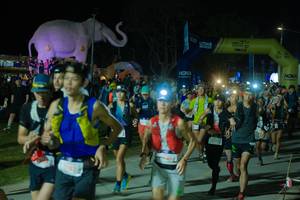 BIB: 
                            <button type="button" onclick="openModal(25583086)" class="btn btn-primary btn-sm float-right btn-popup" data-toggle="modal" data-target=".modal-high-quality">
                        <i class="fas fa-shopping-cart"></i> Add to Cart
                    </button>
                                            <button type="button" onclick="isThisMe(25583086, true)" class="btn btn-success btn-sm float-right btn-popup btn-isme hidden" data-toggle="tooltip" data-placement="bottom" title="นี่คือรูปของคุณใช่ไหม คลิกที่นี่เพื่อเอาเข้าอัลบั้ม">
                        <i class="fas fa-plus"></i> Add to album
                    </button>
                    <button type="button" onclick="isThisMe(25583086, false)" class="btn btn-warning btn-sm float-right btn-popup btn-isnotme hidden">
                        <i class="fas fa-ban"></i> Remove from album
                    </button>