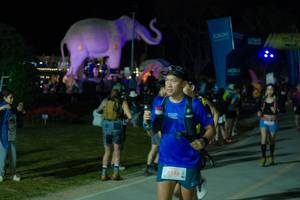 BIB: 
                            <button type="button" onclick="openModal(25585716)" class="btn btn-primary btn-sm float-right btn-popup" data-toggle="modal" data-target=".modal-high-quality">
                        <i class="fas fa-shopping-cart"></i> Add to Cart
                    </button>
                                            <button type="button" onclick="isThisMe(25585716, true)" class="btn btn-success btn-sm float-right btn-popup btn-isme hidden" data-toggle="tooltip" data-placement="bottom" title="นี่คือรูปของคุณใช่ไหม คลิกที่นี่เพื่อเอาเข้าอัลบั้ม">
                        <i class="fas fa-plus"></i> Add to album
                    </button>
                    <button type="button" onclick="isThisMe(25585716, false)" class="btn btn-warning btn-sm float-right btn-popup btn-isnotme hidden">
                        <i class="fas fa-ban"></i> Remove from album
                    </button>