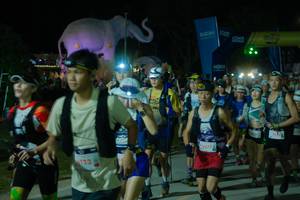 BIB: 
                            <button type="button" onclick="openModal(25584789)" class="btn btn-primary btn-sm float-right btn-popup" data-toggle="modal" data-target=".modal-high-quality">
                        <i class="fas fa-shopping-cart"></i> Add to Cart
                    </button>
                                            <button type="button" onclick="isThisMe(25584789, true)" class="btn btn-success btn-sm float-right btn-popup btn-isme hidden" data-toggle="tooltip" data-placement="bottom" title="นี่คือรูปของคุณใช่ไหม คลิกที่นี่เพื่อเอาเข้าอัลบั้ม">
                        <i class="fas fa-plus"></i> Add to album
                    </button>
                    <button type="button" onclick="isThisMe(25584789, false)" class="btn btn-warning btn-sm float-right btn-popup btn-isnotme hidden">
                        <i class="fas fa-ban"></i> Remove from album
                    </button>